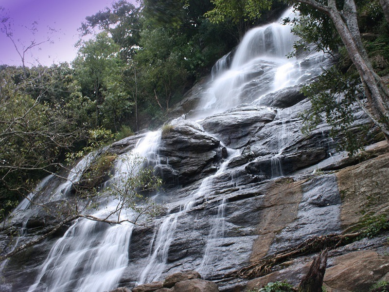 Kiliyur Waterfalls - Tourist place in Yercaud